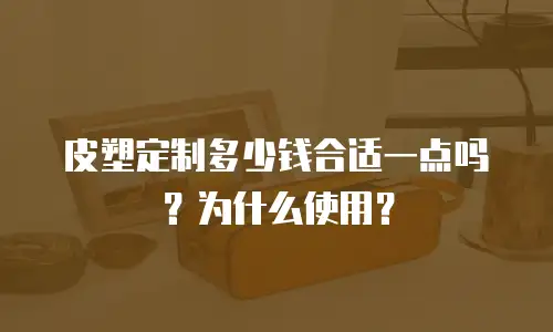 皮塑定制多少钱合适一点吗？为什么使用？