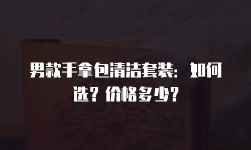 男款手拿包清洁套装：如何选？价格多少？