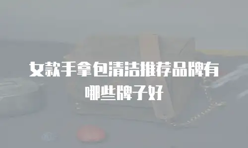 女款手拿包清洁推荐品牌有哪些牌子好