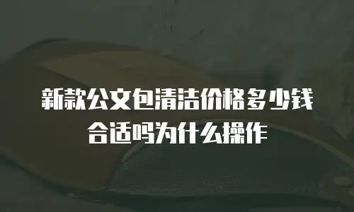 新款公文包清洁价格多少钱合适吗为什么操作