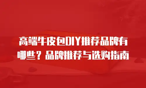 高端牛皮包DIY推荐品牌有哪些？品牌推荐与选购指南