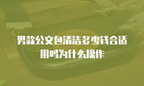 男款公文包清洁多少钱合适用吗为什么操作