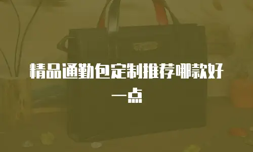 精品通勤包定制推荐哪款好一点