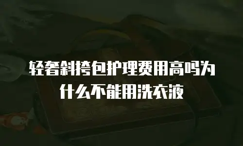 轻奢斜挎包护理费用高吗为什么不能用洗衣液