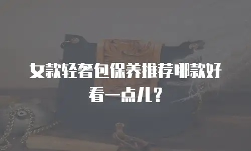 女款轻奢包保养推荐哪款好看一点儿？
