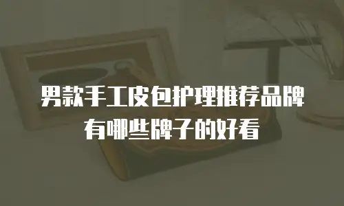 男款手工皮包护理推荐品牌有哪些牌子的好看