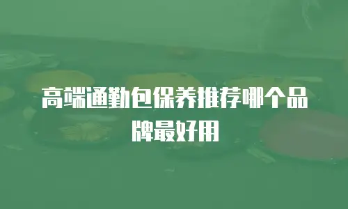 高端通勤包保养推荐哪个品牌最好用