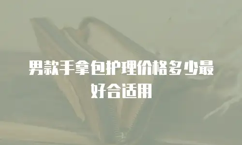 男款手拿包护理价格多少最好合适用