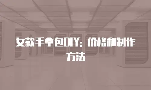女款手拿包DIY: 价格和制作方法