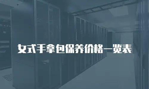 女式手拿包保养价格一览表