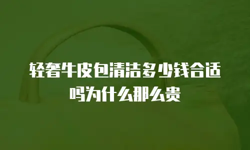 轻奢牛皮包清洁多少钱合适吗为什么那么贵