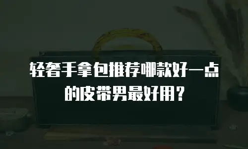 轻奢手拿包推荐哪款好一点的皮带男最好用？