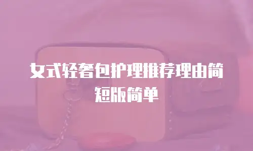 女式轻奢包护理推荐理由简短版简单