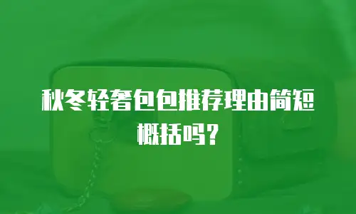 秋冬轻奢包包推荐理由简短概括吗？