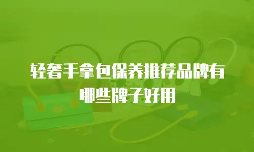 轻奢手拿包保养推荐品牌有哪些牌子好用