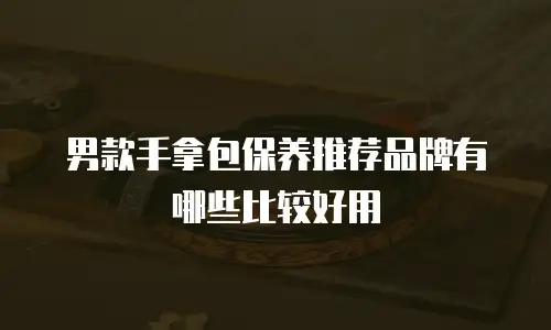 男款手拿包保养推荐品牌有哪些比较好用