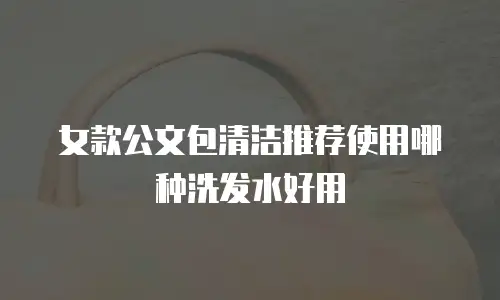 女款公文包清洁推荐使用哪种洗发水好用