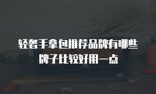 轻奢手拿包推荐品牌有哪些牌子比较好用一点