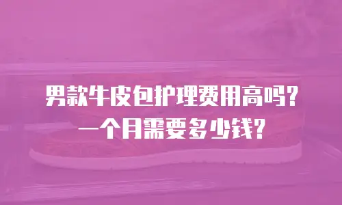 男款牛皮包护理费用高吗？一个月需要多少钱？