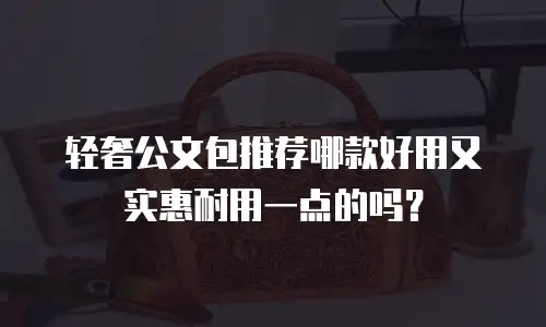 轻奢公文包推荐哪款好用又实惠耐用一点的吗？