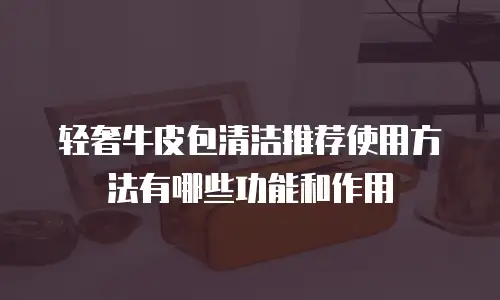 轻奢牛皮包清洁推荐使用方法有哪些功能和作用