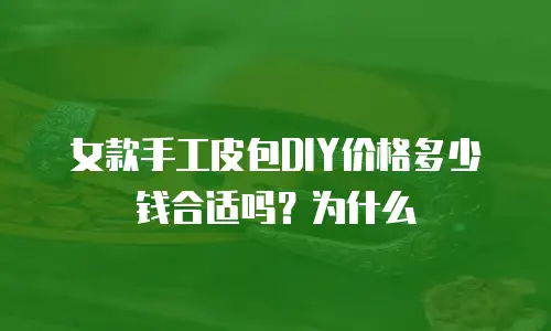 女款手工皮包DIY价格多少钱合适吗？为什么