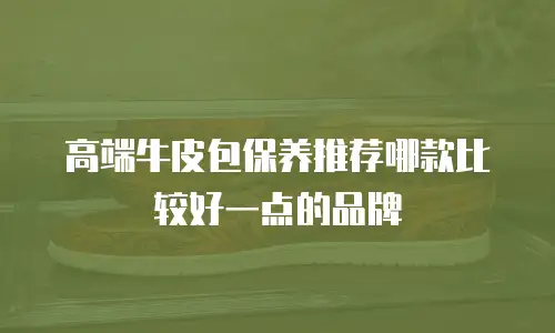 高端牛皮包保养推荐哪款比较好一点的品牌