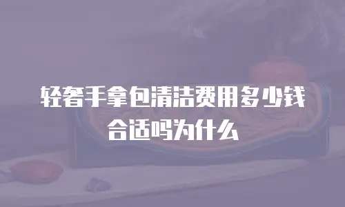 轻奢手拿包清洁费用多少钱合适吗为什么