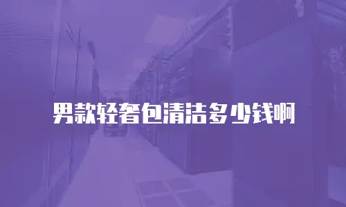 男款轻奢包清洁多少钱啊