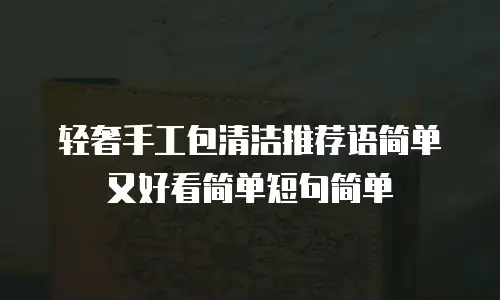轻奢手工包清洁推荐语简单又好看简单短句简单