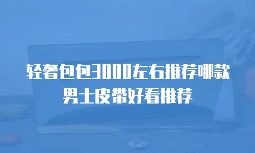 轻奢包包3000左右推荐哪款男士皮带好看推荐