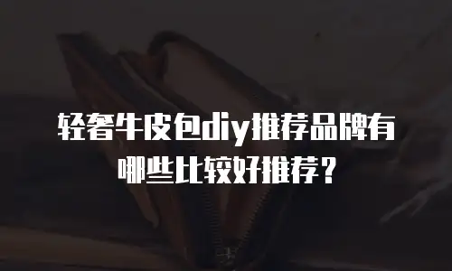 轻奢牛皮包diy推荐品牌有哪些比较好推荐？