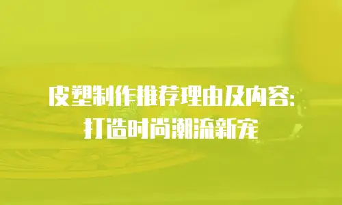 皮塑制作推荐理由及内容：打造时尚潮流新宠