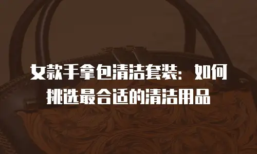 女款手拿包清洁套装：如何挑选最合适的清洁用品