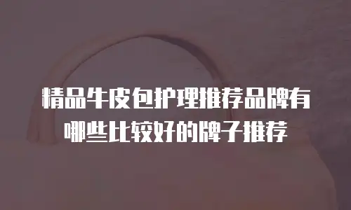 精品牛皮包护理推荐品牌有哪些比较好的牌子推荐