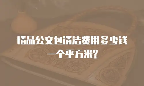 精品公文包清洁费用多少钱一个平方米?