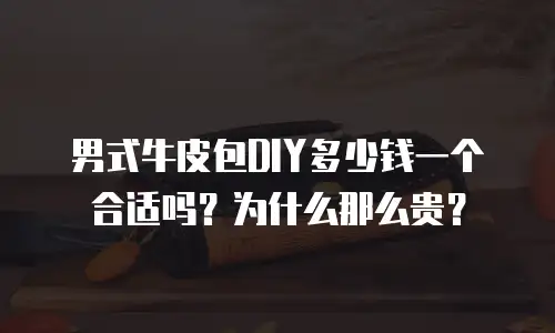 男式牛皮包DIY多少钱一个合适吗？为什么那么贵？
