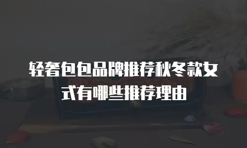 轻奢包包品牌推荐秋冬款女式有哪些推荐理由
