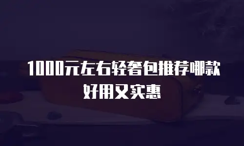 1000元左右轻奢包推荐哪款好用又实惠
