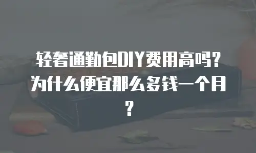 轻奢通勤包DIY费用高吗？为什么便宜那么多钱一个月？