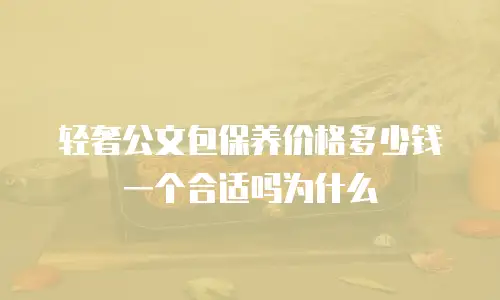 轻奢公文包保养价格多少钱一个合适吗为什么