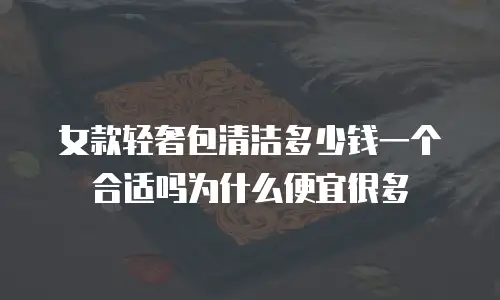 女款轻奢包清洁多少钱一个合适吗为什么便宜很多