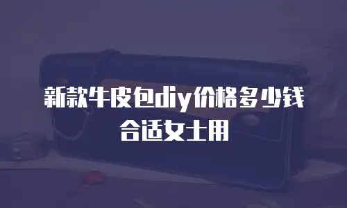新款牛皮包diy价格多少钱合适女士用