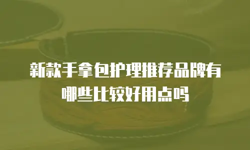 新款手拿包护理推荐品牌有哪些比较好用点吗
