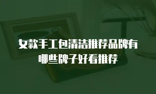 女款手工包清洁推荐品牌有哪些牌子好看推荐