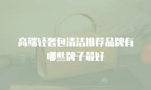 高端轻奢包清洁推荐品牌有哪些牌子最好