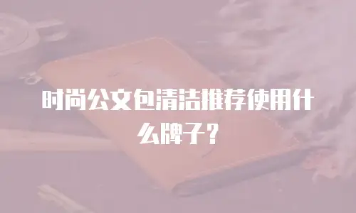 时尚公文包清洁推荐使用什么牌子？