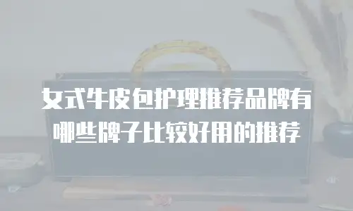 女式牛皮包护理推荐品牌有哪些牌子比较好用的推荐