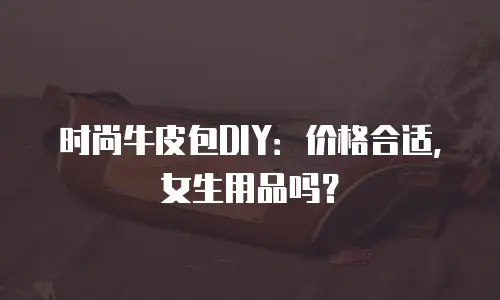 时尚牛皮包DIY：价格合适，女生用品吗？