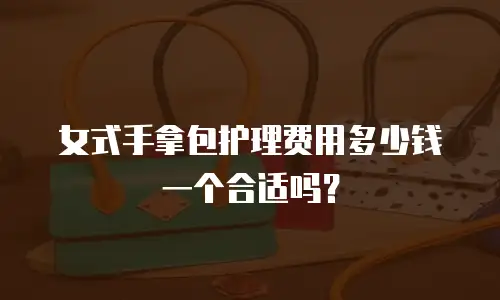 女式手拿包护理费用多少钱一个合适吗？